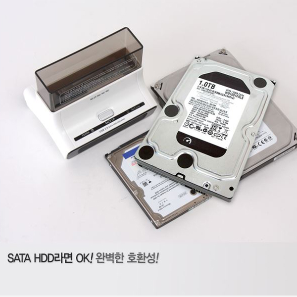 EZSAVE 화이트독 USB2.0